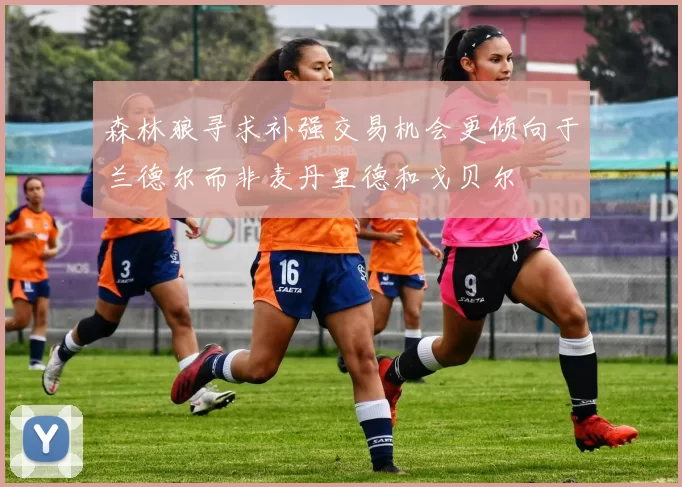 森林狼寻求补强交易机会更倾向于兰德尔而非麦丹里德和戈贝尔